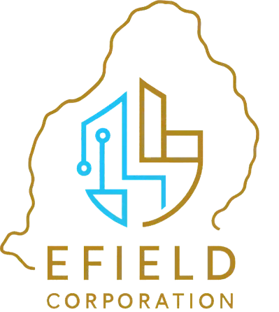 Une Holding Stratégique d'Investissement,efieldcorporation.com